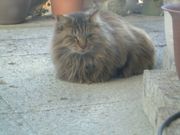 ファイル 1337-3.jpg