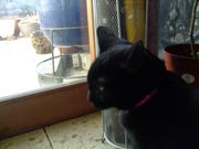 ファイル 1337-4.jpg