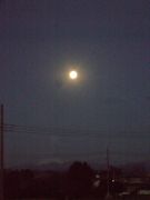 ファイル 1341-2.jpg