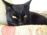 ファイル 1343-1.jpg