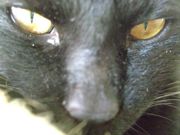 ファイル 1347-1.jpg