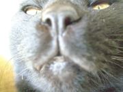 ファイル 1347-2.jpg