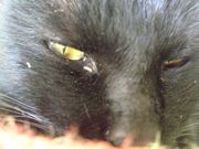 ファイル 1347-4.jpg