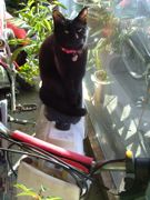 ファイル 1349-1.jpg