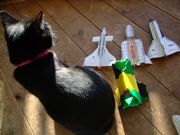 ファイル 1351-1.jpg