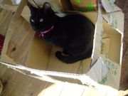 ファイル 1355-1.jpg