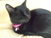 ファイル 1360-1.jpg