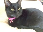 ファイル 1360-2.jpg