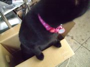 ファイル 1360-3.jpg