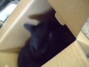 ファイル 1360-4.jpg