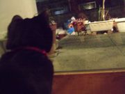 ファイル 1363-2.jpg