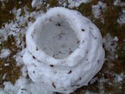 ファイル 1363-5.jpg