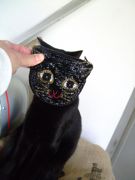 ファイル 1367-1.jpg