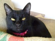 ファイル 1373-1.jpg