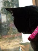 ファイル 1373-3.jpg