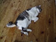 ファイル 1373-4.jpg