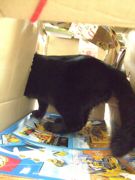 ファイル 1380-3.jpg