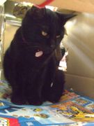 ファイル 1380-4.jpg