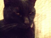 ファイル 1384-1.jpg