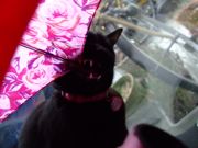 ファイル 1387-3.jpg