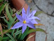 ファイル 1389-1.jpg