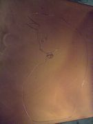 ファイル 1390-1.jpg