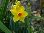 ファイル 1392-1.jpg