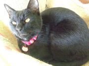 ファイル 1395-1.jpg