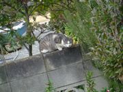 ファイル 1400-1.jpg