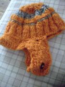 ファイル 1402-1.jpg