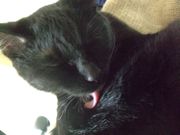 ファイル 1403-1.jpg