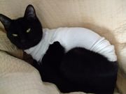 ファイル 1405-1.jpg