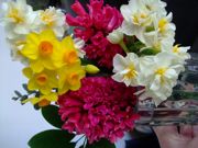 ファイル 1406-1.jpg