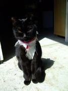 ファイル 1407-1.jpg