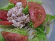 ファイル 1418-1.jpg