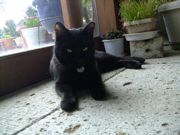 ファイル 1441-1.jpg