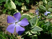 ファイル 1442-1.jpg