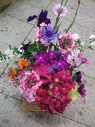 ファイル 1449-1.jpg