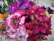 ファイル 1449-2.jpg