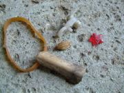 ファイル 1451-1.jpg