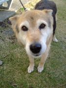 ファイル 1453-1.jpg