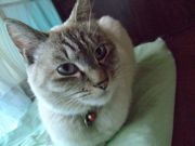 ファイル 1453-2.jpg