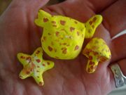 ファイル 1458-1.jpg