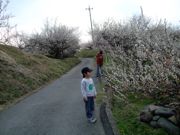 ファイル 1459-1.jpg