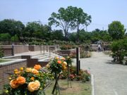 ファイル 1461-1.jpg