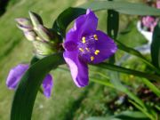 ファイル 1465-2.jpg