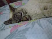 ファイル 1466-3.jpg