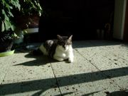 ファイル 1470-3.jpg