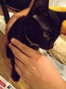 ファイル 1471-2.jpg