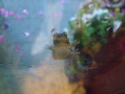 ファイル 1472-1.jpg